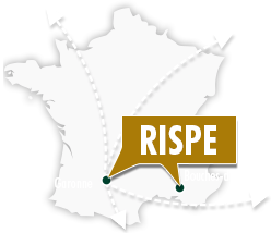Rispe International map