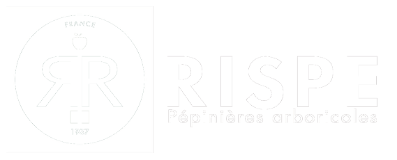 Logo Pépinières RISPE